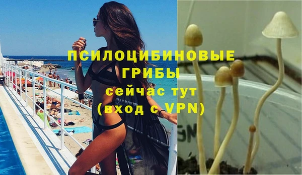 ПСИЛОЦИБИНОВЫЕ ГРИБЫ Волоколамск