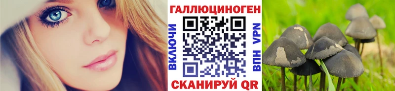 Галлюциногенные грибы прущие грибы  Коломна 
